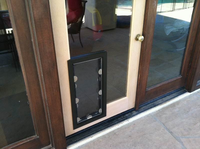 Pet & Dog Door Installations Gallery Exterior Doors JGM Pet Doors