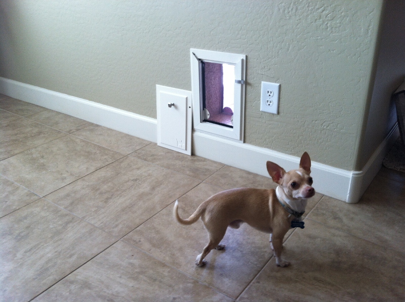Pet & Dog Door Installation Gallery InWall JGM Pet Doors