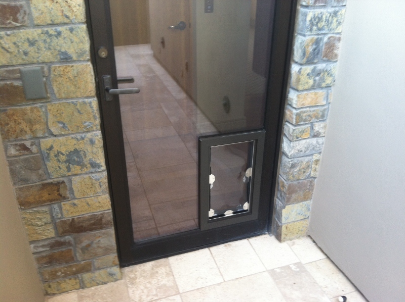 Commercial Storefront Pet Door Installation JGM Pet Doors